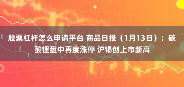 股票杠杆怎么申请平台 商品日报（1月13日）：碳酸锂盘中再度涨停 沪锡创上市新高